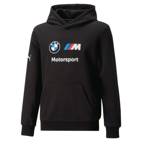 Atlantische Oceaan manager Identificeren BMW M Motorsport Logo Hoodie maat 116 Motorsport Collection 2023 -  BimmerProducts.nl