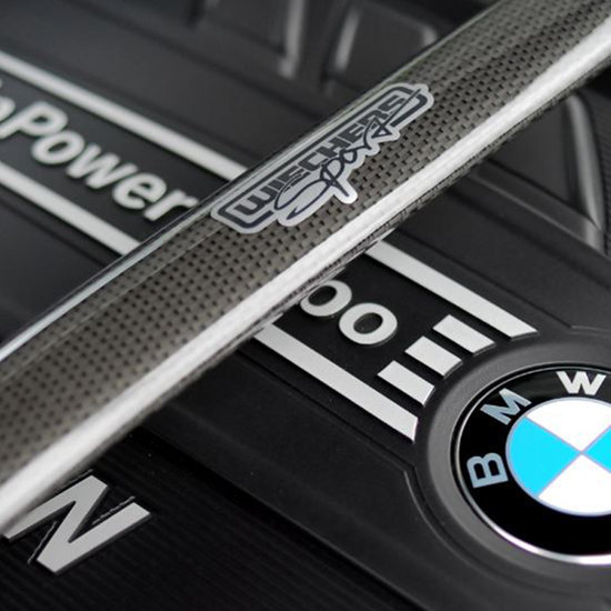 Wiechers veerpootbrug voor aluminium racingline carbon BMW 5 serie E39 6 en 8 cilinder benzine en diesel en M5