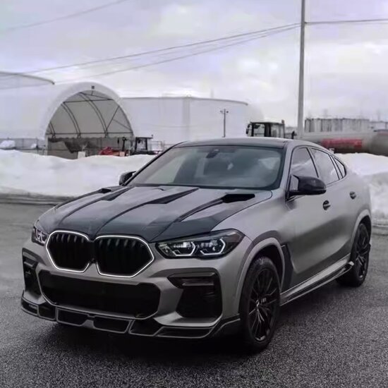 Grillen glanzend zwart met LED verlichting passend voor BMW X6 G06 model 2019 - 2023