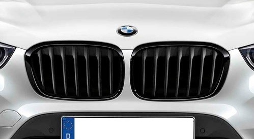BMW X1 F48 M performance nieren origineel BMW