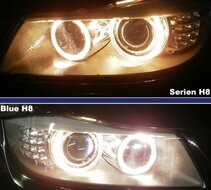 BMW Blue Halogeen lampen H8 angel eyes markers origineel BMW 