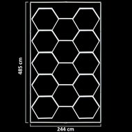 LED Hexagon showroom verlichting  2,44 x 4,85 m