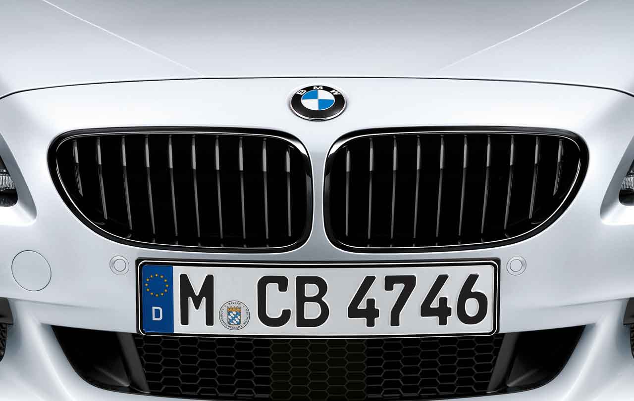 M Performance grillen passend voor BMW 6 serie F06, F12 en F13 hoogglans zwart origineel BMW