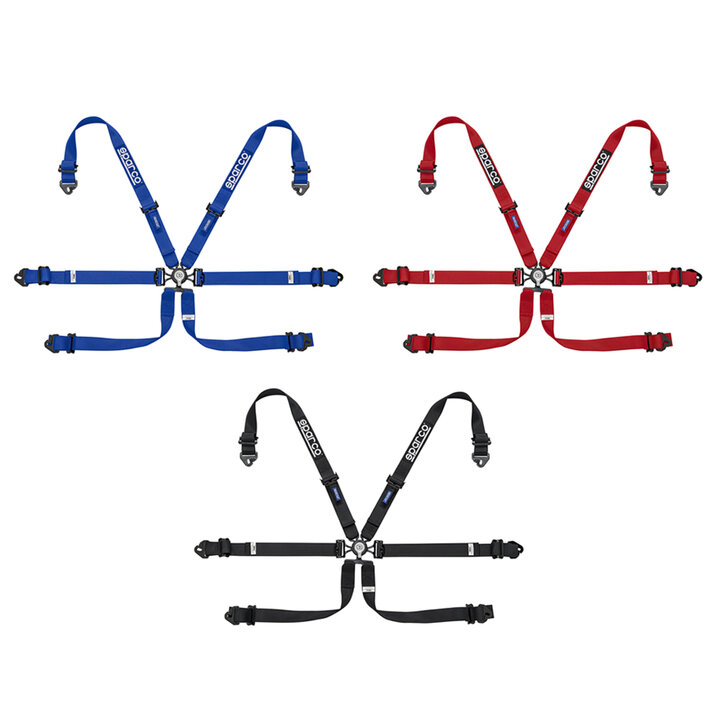 Sparco 6 punts gordel 2 inch pull down staal FIA